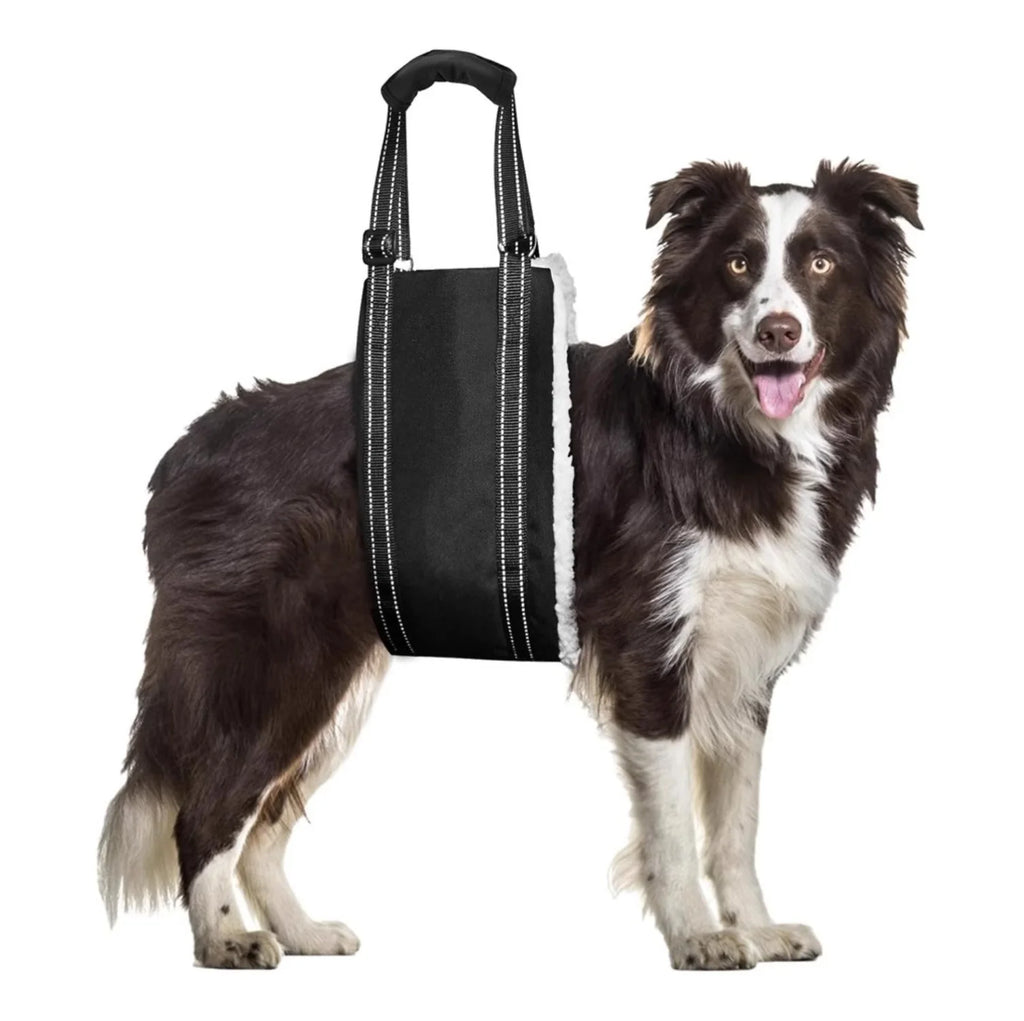 Dog Lift Harness - Rear Support Sling for Senior Dogs & Mobility Impaired Pets