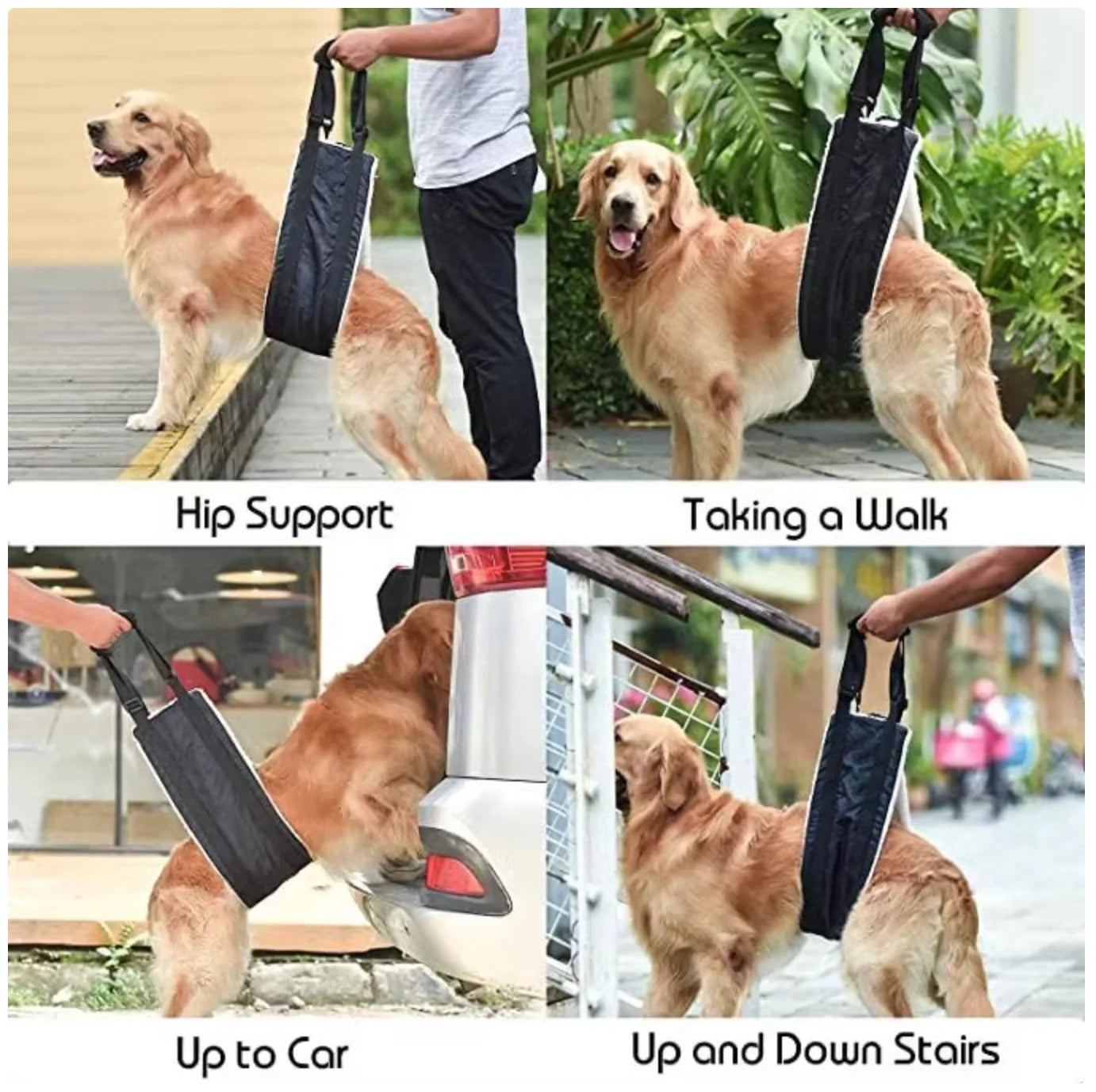 Dog Lift Harness - Rear Support Sling for Senior Dogs & Mobility Impaired Pets